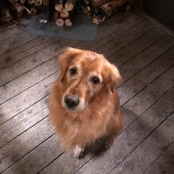 Meet your Posher, Megan - Picture 3 of 7